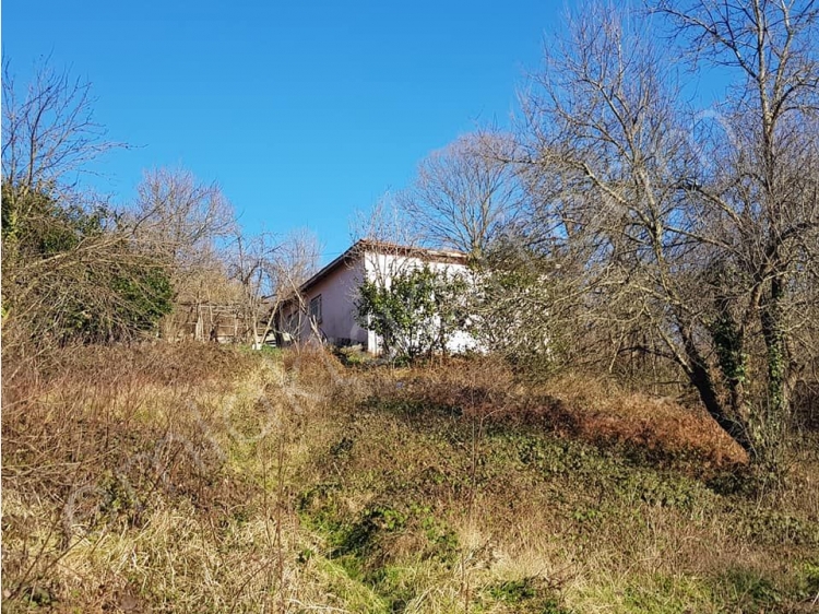 İstanbul Beykoz Kaynarca Mah.İçerisinde Müstakil Ev ve Hayvan Barınağı